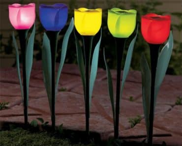 Lampes solaires - fleurs de différentes couleurs