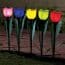 Lampes solaires - fleurs de différentes couleurs